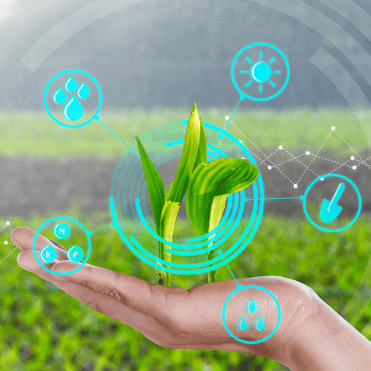 Home Automation Company,Smart Home Automation Company,Home Automation Services,Smart Door Lock Automation,Residential Automation Systems,Terrace Garden Designing Services,Balcony Gardening Services